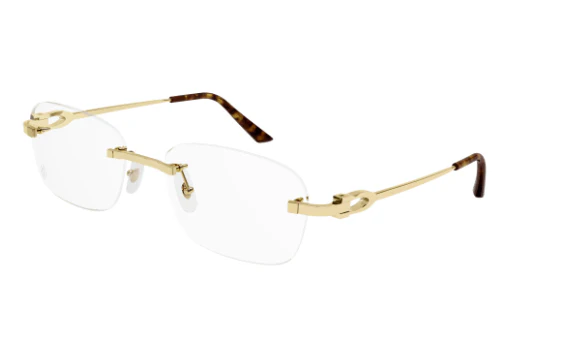 Cartier CT 0290O