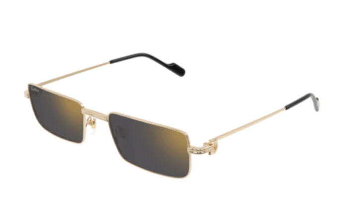 Cartier CT 0501S