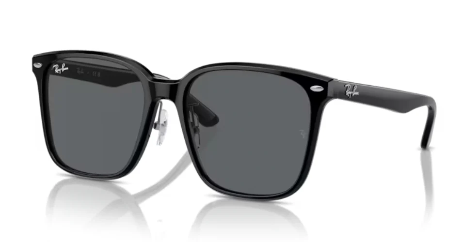 Ray-Ban RB 2206D