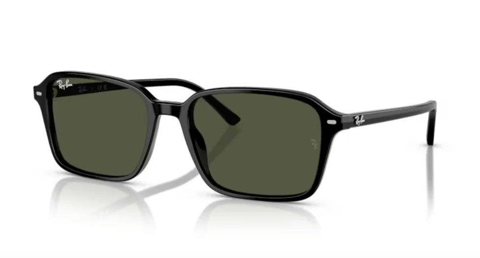 Ray-Ban RB 2231F