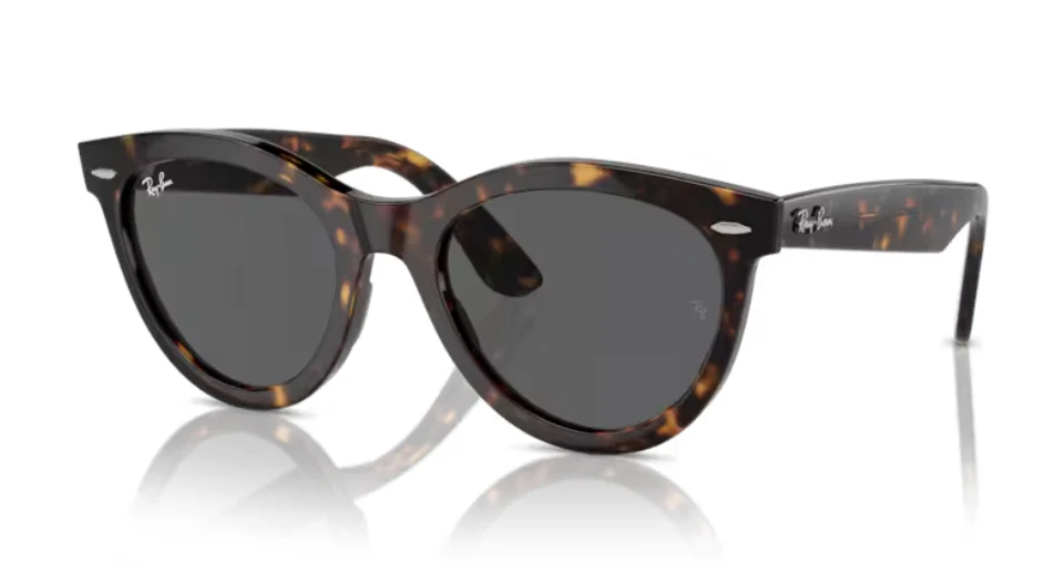 Ray-Ban RB 2241F