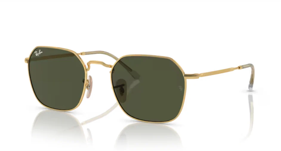 Ray-Ban RB 3694