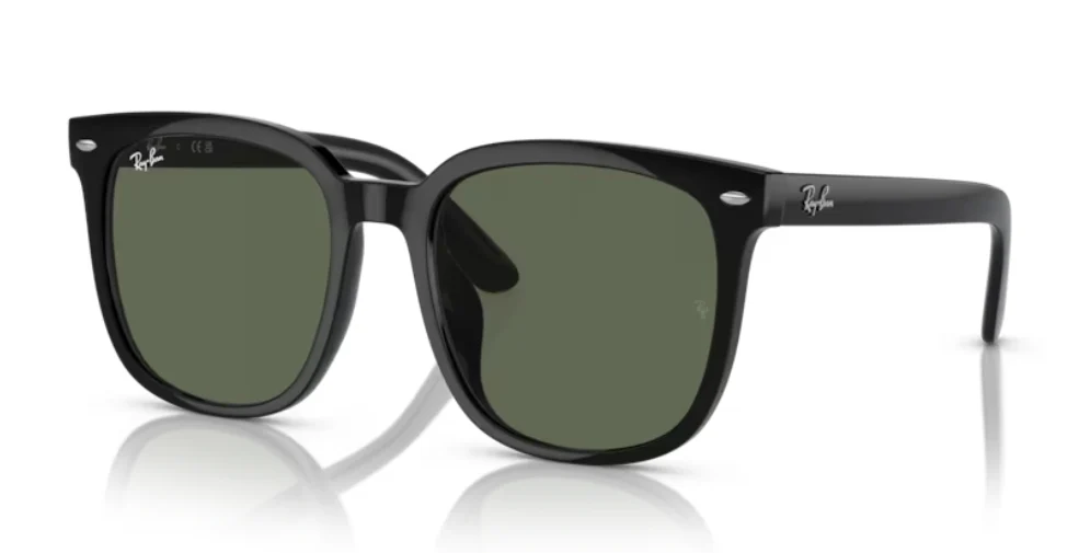 Ray-Ban RB 4401D