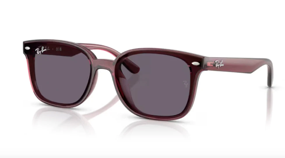 Ray-Ban RB 4461D