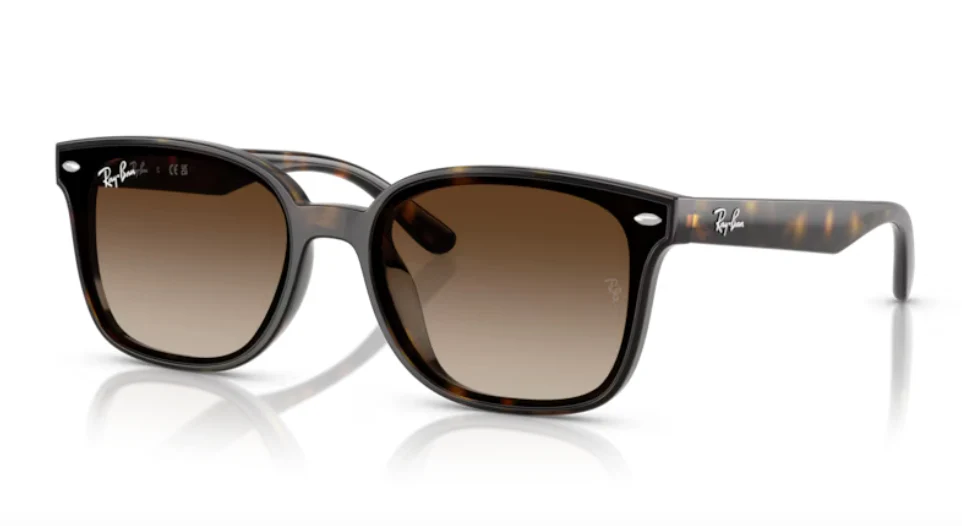 Ray-Ban RB 4461D - Image 3